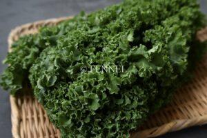 fennel　取扱い野菜　カリーノケール