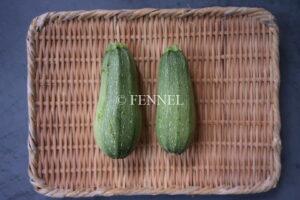 FENNEL イタリアンズッキーニ