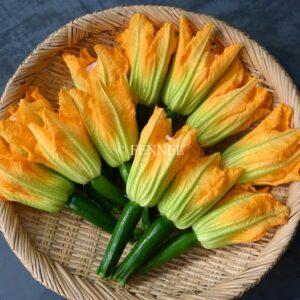 FENNEL　花ズッキーニ
