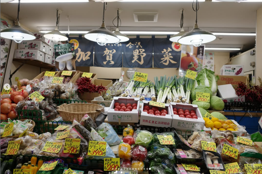 FENNEL視察2026-14